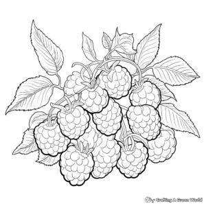 Hand-Drawn Raspberry Coloring Pages 4