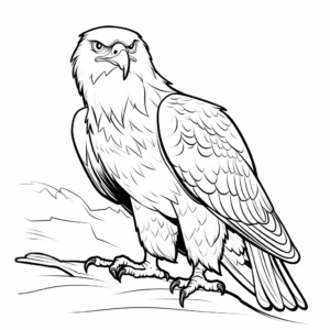 Hawk and Bald Eagle Coloring Pages 3