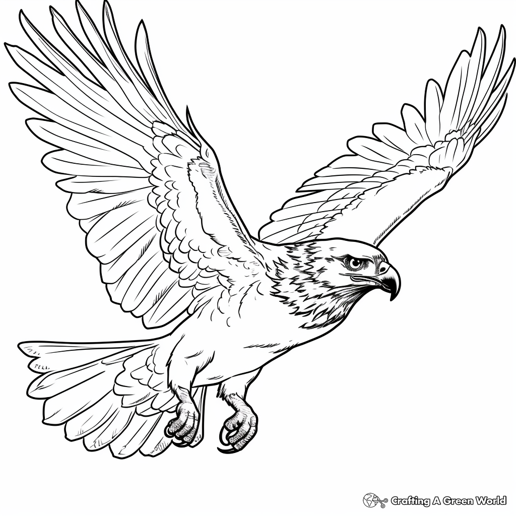 Hawk in Flight Coloring Pages 1