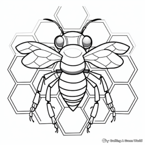 Hexagon Shapes in Honeycomb Coloring Sheets 2