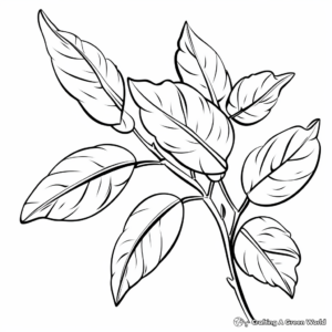 Hickory Leaf Coloring Pages for Children 3