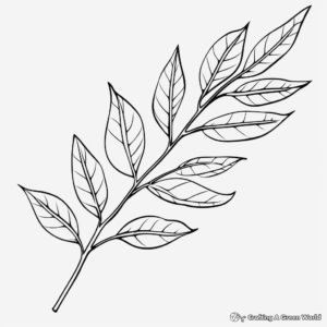 Hickory Leaf Coloring Pages for Children 4