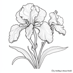 Highly Detailed Iris Flower Coloring Pages 4