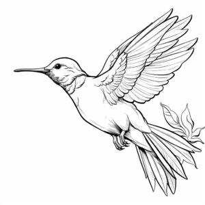Hummingbird Migration Coloring Pages for Kids 2