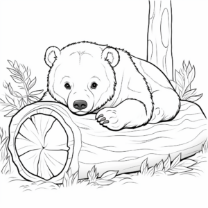 Illustrated Black Bear Hibernating Printable Coloring Sheets 3