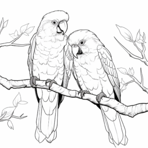 Illustrative Pair of Scarlet Macaws Coloring Pages 1