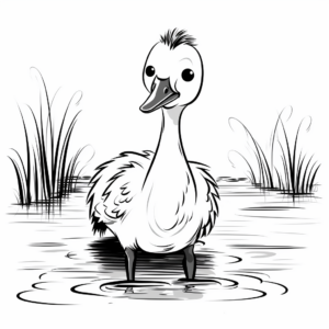 Infantile Blue Heron (Chick) Coloring Pages for Children 3