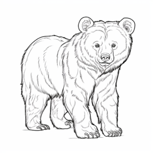 Intense Marsican Brown Bear Coloring Pages 1