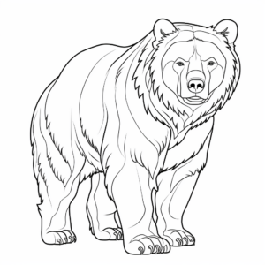 Intense Marsican Brown Bear Coloring Pages 4