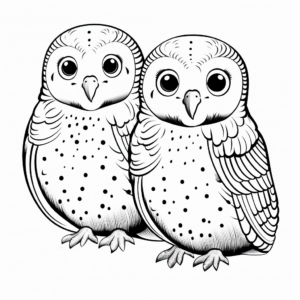 Interactive Budgie-Pair Coloring Pages 2