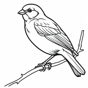 Interactive Connecticut State Bird American Goldfinch Coloring Pages 3