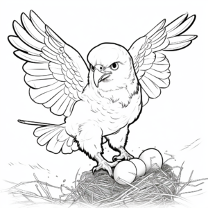 Interactive Falcon Life Cycle Coloring Pages 2