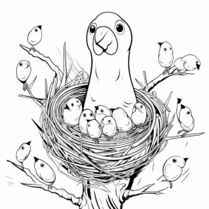 Interactive Parakeet Life Cycle Coloring Pages 3