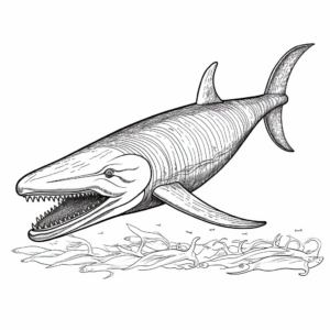 Intricate Adult Blue Whale Coloring Pages 3
