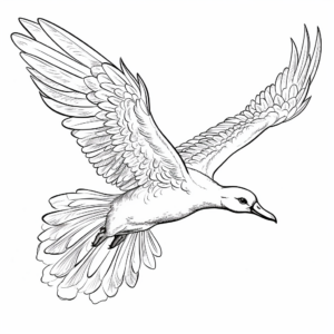 Intricate Albatross Flying Coloring Pages 3