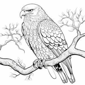 Intricate Bald Eagle Coloring Pages 3