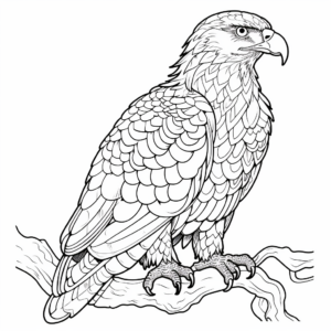 Intricate Bald Golden Eagle Coloring Pages 3