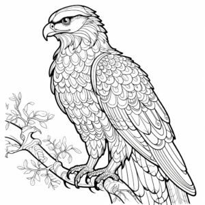 Intricate Broad-winged Hawk Coloring Pages 3