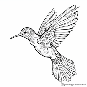 Intricate Calliope Hummingbird Coloring Pages 1