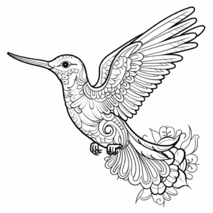 Intricate Hummingbird Coloring Pages 2