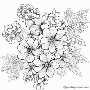 Intricate Panicle Hydrangea Coloring Pages 3