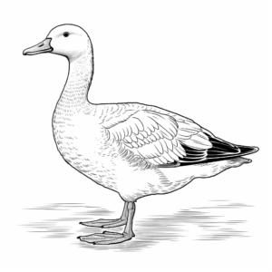 Intricate Snow Goose Coloring Pages 3