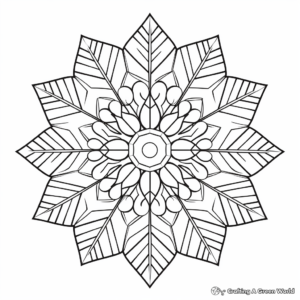 Intricate Snowflake Patterns Coloring Pages 2