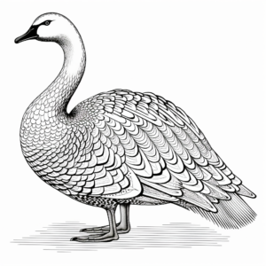 Intricate Whooper Swan Coloring Pages for Adults 1