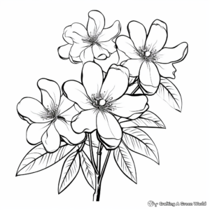 Jasmine Flower Coloring Pages: A Fragrant Experience 2