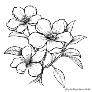 Jasmine Flower Coloring Pages: A Fragrant Experience 4