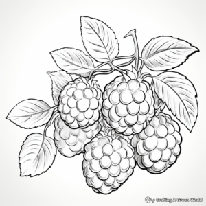 Juicy Raspberry Close-Up Coloring Pages 3