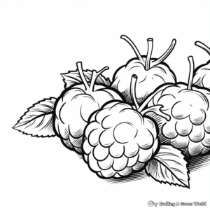 Juicy Raspberry Close-Up Coloring Pages 4