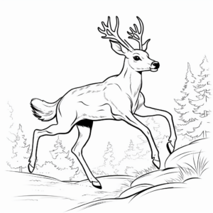 Jumping White Tailed Deer Action Scene Coloring Page 1