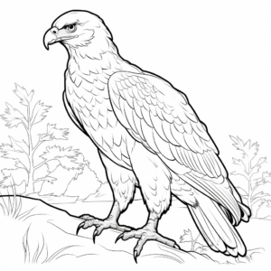 Juvenile Golden Eagle Coloring Pages for Children 2