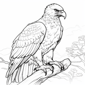 Juvenile Golden Eagle Coloring Pages for Children 3