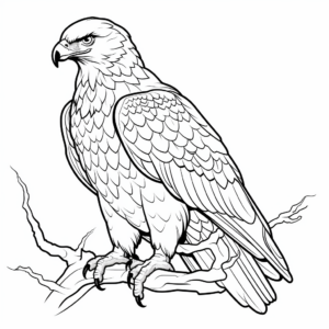 Juvenile Golden Eagle Coloring Pages for Children 4