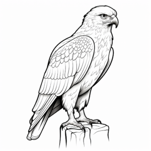 Kid-Friendly Red Tailed Hawk Cartoon Coloring Pages 2