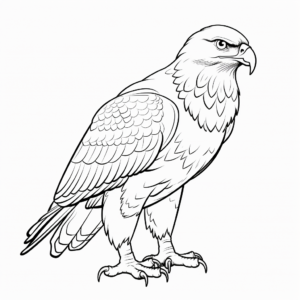 Kid-Friendly Red Tailed Hawk Cartoon Coloring Pages 3