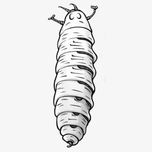 Kid-Friendly Silkworm Cocoon Coloring Pages 3