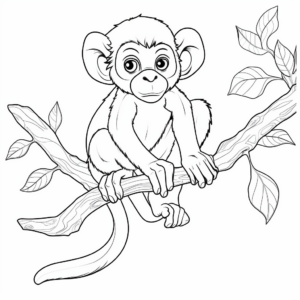 Kid-friendly Squirrel Monkey Coloring Pages 4