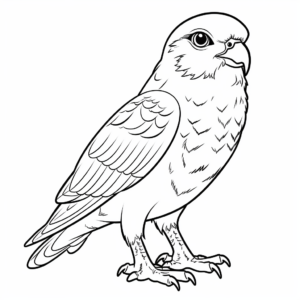Kids Friendly Kestrel Falcon Coloring Pages 1