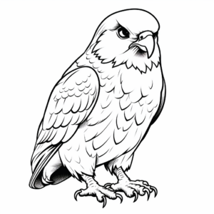 Kids Friendly Kestrel Falcon Coloring Pages 4