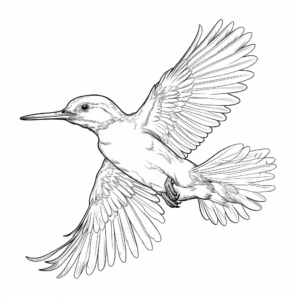 Kingfisher in Action - Bird Coloring Pages 2