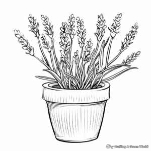 Lavender Pot Coloring Pages for Aromatherapy Lovers 1