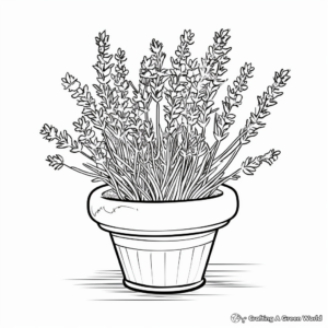 Lavender Pot Coloring Pages for Aromatherapy Lovers 2
