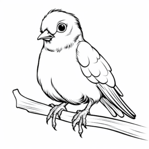 Lovely Dove Pigeon Coloring Pages 4