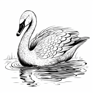 Lovely Swan Coloring Pages for An Elegant Coloring Experience 4