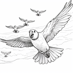 Macaw Flock Flying in the Sky Coloring Sheets 1