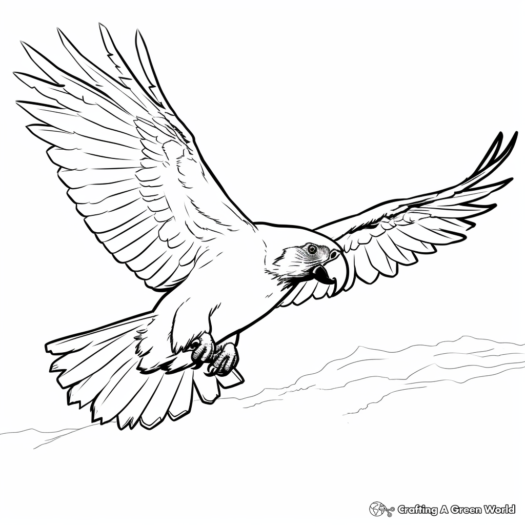 Macaw flying in the Sky Coloring Pages 3
