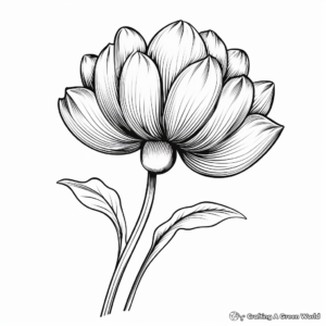 Magnificent Lotus Flower Coloring Pages 3